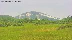 area3-20250614061046.jpg