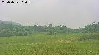 area3-20250614112047.jpg