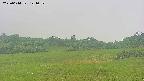 area3-20250614121047.jpg