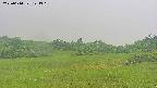 area3-20250614124345.jpg