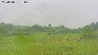 area3-20250614131048.jpg