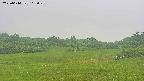 area3-20250614162048.jpg