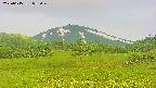 area3-20250615053049.jpg