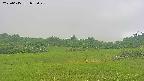 area3-20250615072047.jpg