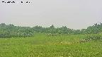 area3-20250615073046.jpg