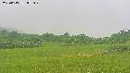 area3-20250615075046.jpg