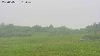 area3-20250615112048.jpg