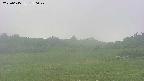 area3-20250615150047.jpg