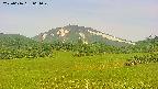 area3-20250616064050.jpg