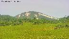 area3-20250616071050.jpg