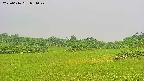 area3-20250616081048.jpg