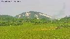 area3-20250616091050.jpg