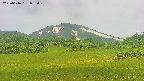 area3-20250616092049.jpg