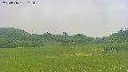 area3-20250616103050.jpg