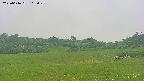 area3-20250616105049.jpg