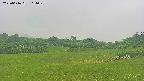 area3-20250616111049.jpg