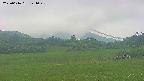 area3-20250616141047.jpg
