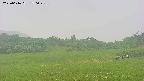 area3-20250616150049.jpg