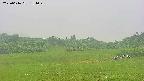 area3-20250616151047.jpg