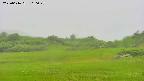 area3-20250616160050.jpg