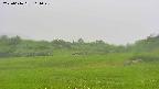 area3-20250616161049.jpg