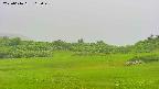 area3-20250616162049.jpg