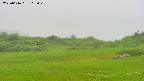 area3-20250616163046.jpg