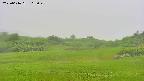 area3-20250616165048.jpg