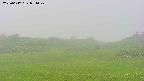 area3-20250617091048.jpg