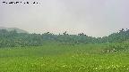 area3-20250617092049.jpg