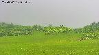 area3-20250617093051.jpg