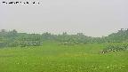 area3-20250617095050.jpg
