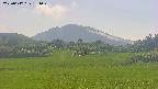 area3-20250617154050.jpg