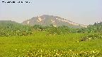 area3-20250618050048.jpg
