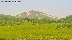 area3-20250618051050.jpg