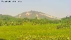 area3-20250618052049.jpg