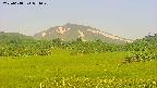 area3-20250618054050.jpg