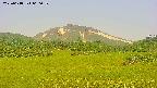 area3-20250618060053.jpg