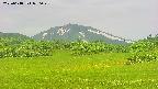 area3-20250618090049.jpg
