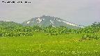 area3-20250618091048.jpg