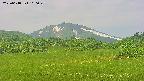 area3-20250618100049.jpg