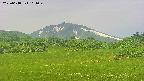 area3-20250618101049.jpg