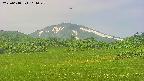area3-20250618104049.jpg
