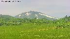 area3-20250618110047.jpg