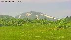 area3-20250618111047.jpg