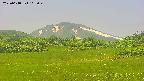 area3-20250618112049.jpg