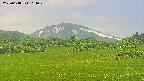 area3-20250618114049.jpg