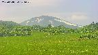 area3-20250618121049.jpg