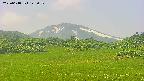 area3-20250618122051.jpg