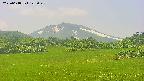 area3-20250618123049.jpg